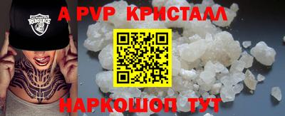 индика Кингисепп