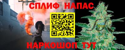 индика Кингисепп