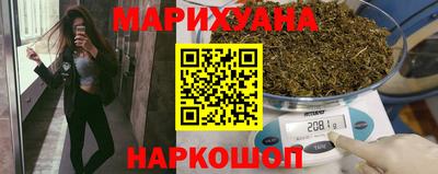 индика Кингисепп