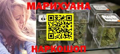 индика Кингисепп