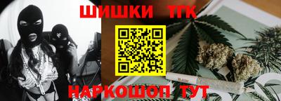 индика Кингисепп