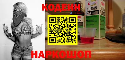 индика Кингисепп