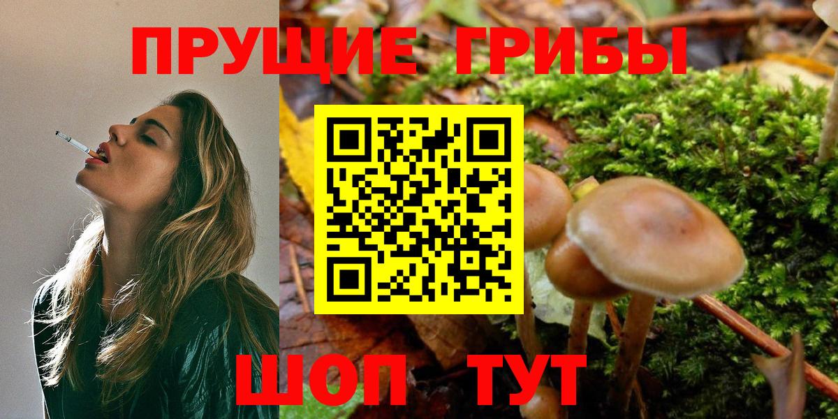 Кузнецк  Галлюциногенные грибы MAGIC MUSHROOMS  Вход с VPN 